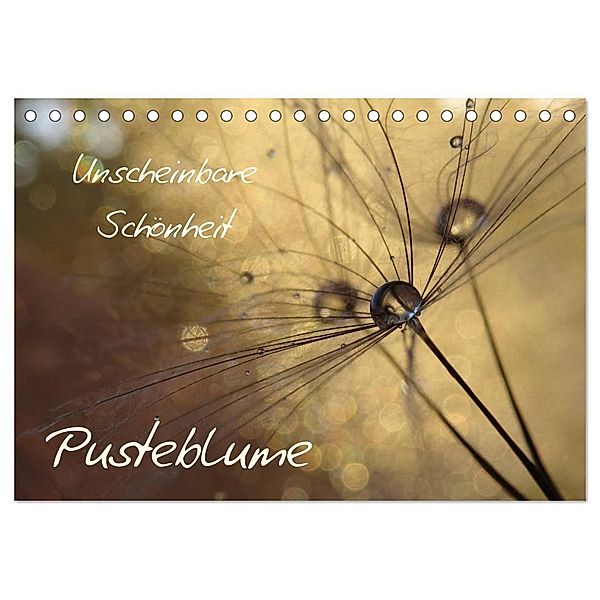 Unscheinbare Schönheit - Pusteblume (Tischkalender 2024 DIN A5 quer), CALVENDO Monatskalender, Judith Doberstein