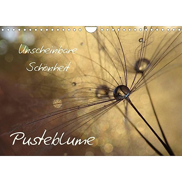 Unscheinbare Schönheit - Pusteblume (Wandkalender 2023 DIN A4 quer), Judith Doberstein