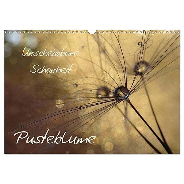 Unscheinbare Schönheit - Pusteblume (Wandkalender 2024 DIN A3 quer), CALVENDO Monatskalender, Judith Doberstein