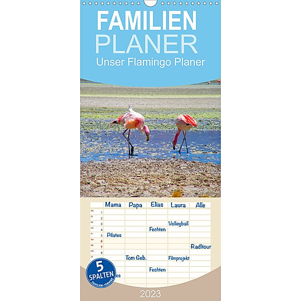 Unser Flamingo Planer - Familienplaner (Wandkalender 2023 , 21 cm x 45 cm, hoch), Piera Marlena Büchler