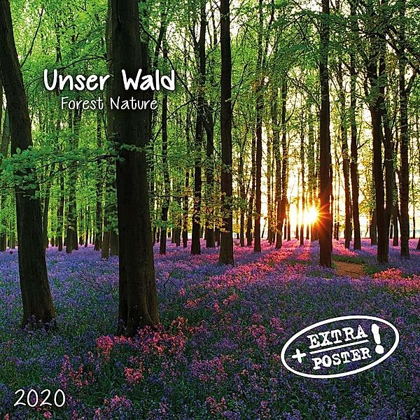 Unser Wald 2020