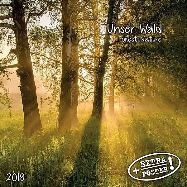 Unser Wald / Forest Nature 2019