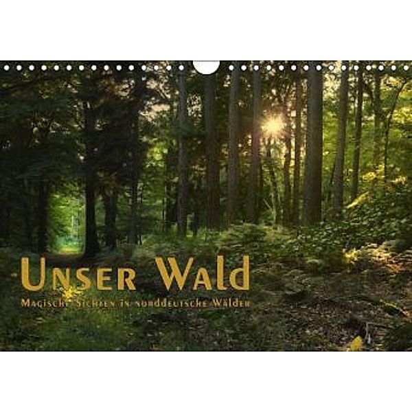 Unser Wald - Magische Sichten in norddeutsche Wälder / Geburtstagskalender (Wandkalender 2015 DIN A4 quer), Heike Langenkamp