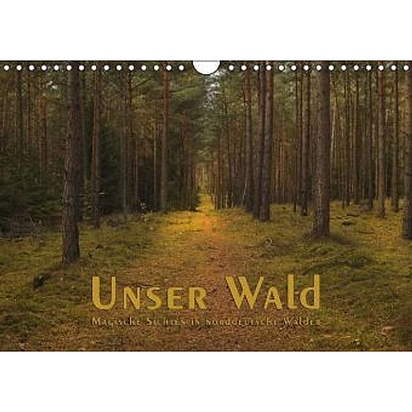 Unser Wald - Magische Sichten in norddeutsche Wälder (Wandkalender 2016 DIN A4 quer), Heike Langenkamp