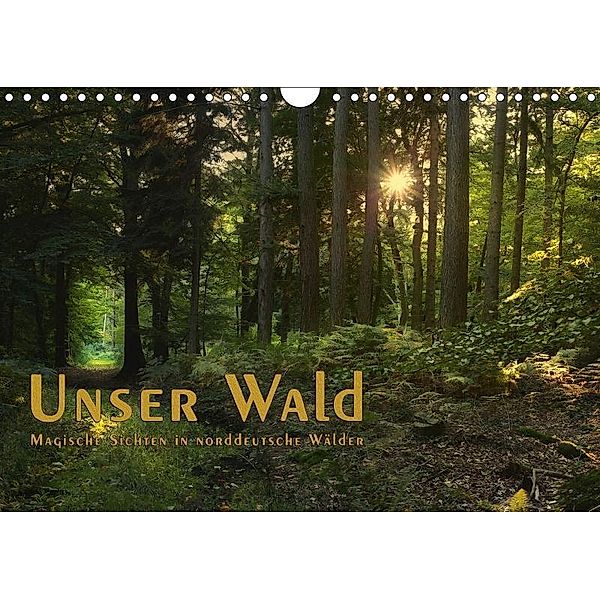 Unser Wald - Magische Sichten in norddeutsche Wälder / Geburtstagskalender (Wandkalender 2017 DIN A4 quer), Heike Langenkamp