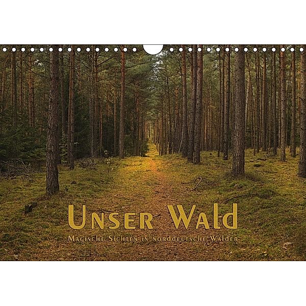 Unser Wald - Magische Sichten in norddeutsche Wälder (Wandkalender 2018 DIN A4 quer), Heike Langenkamp