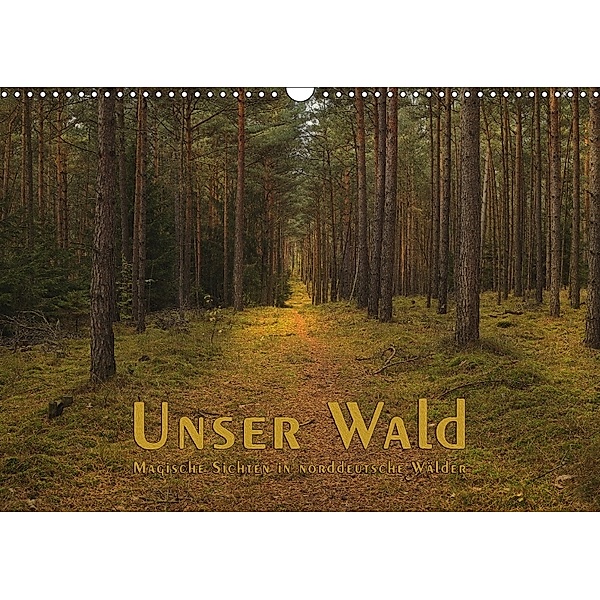 Unser Wald - Magische Sichten in norddeutsche Wälder (Wandkalender 2018 DIN A3 quer), Heike Langenkamp