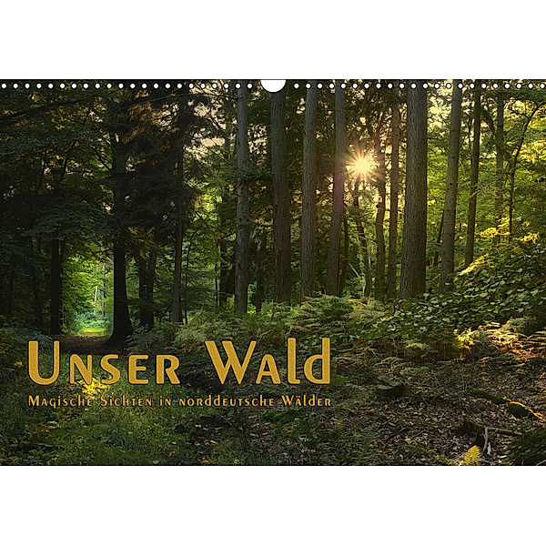 Unser Wald - Magische Sichten in norddeutsche Wälder / Geburtstagskalender (Wandkalender 2019 DIN A3 quer), Heike Langenkamp
