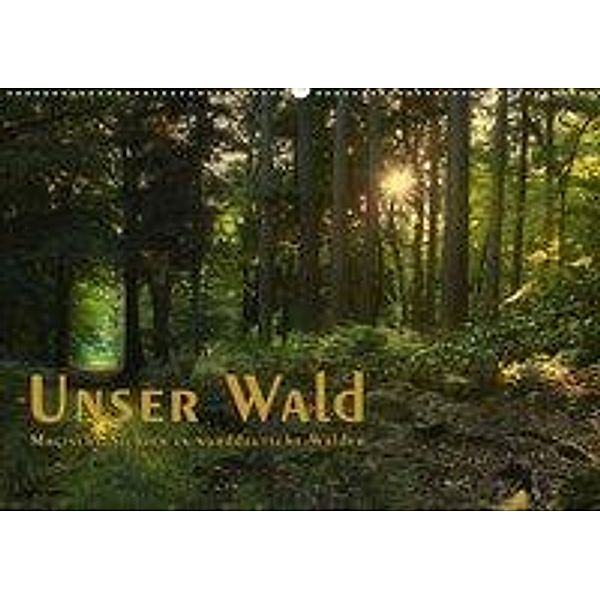 Unser Wald - Magische Sichten in norddeutsche Wälder / Geburtstagskalender (Wandkalender 2020 DIN A2 quer), Heike Langenkamp