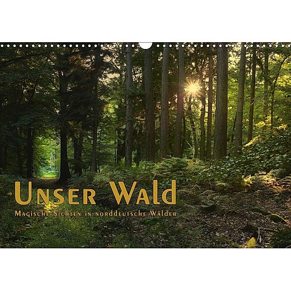 Unser Wald - Magische Sichten in norddeutsche Wälder / Geburtstagskalender (Wandkalender 2021 DIN A3 quer), Heike Langenkamp