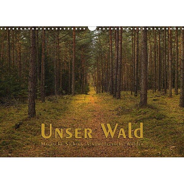 Unser Wald - Magische Sichten in norddeutsche Wälder (Wandkalender 2022 DIN A3 quer), Heike Langenkamp