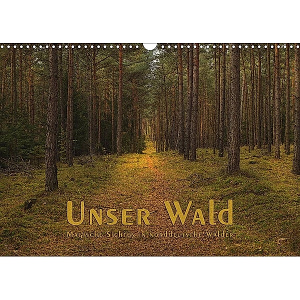 Unser Wald - Magische Sichten in norddeutsche Wälder (Wandkalender 2023 DIN A3 quer), Heike Langenkamp