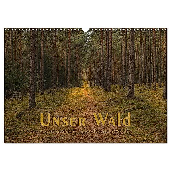 Unser Wald - Magische Sichten in norddeutsche Wälder (Wandkalender 2024 DIN A3 quer), CALVENDO Monatskalender, Heike Langenkamp