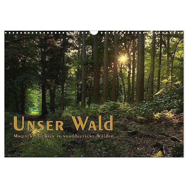 Unser Wald - Magische Sichten in norddeutsche Wälder / Geburtstagskalender (Wandkalender 2024 DIN A3 quer), CALVENDO Monatskalender, Heike Langenkamp