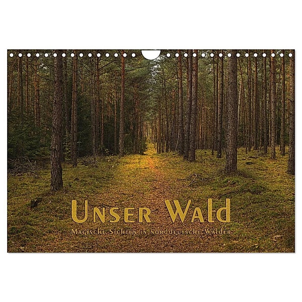 Unser Wald - Magische Sichten in norddeutsche Wälder (Wandkalender 2024 DIN A4 quer), CALVENDO Monatskalender, Heike Langenkamp