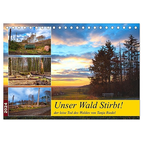 Unser Wald Stirbt (Tischkalender 2024 DIN A5 quer), CALVENDO Monatskalender, Tanja Riedel