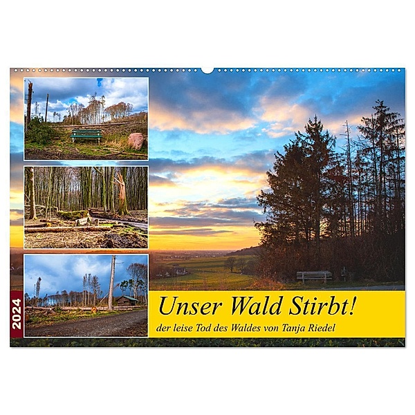 Unser Wald Stirbt (Wandkalender 2024 DIN A2 quer), CALVENDO Monatskalender, Tanja Riedel
