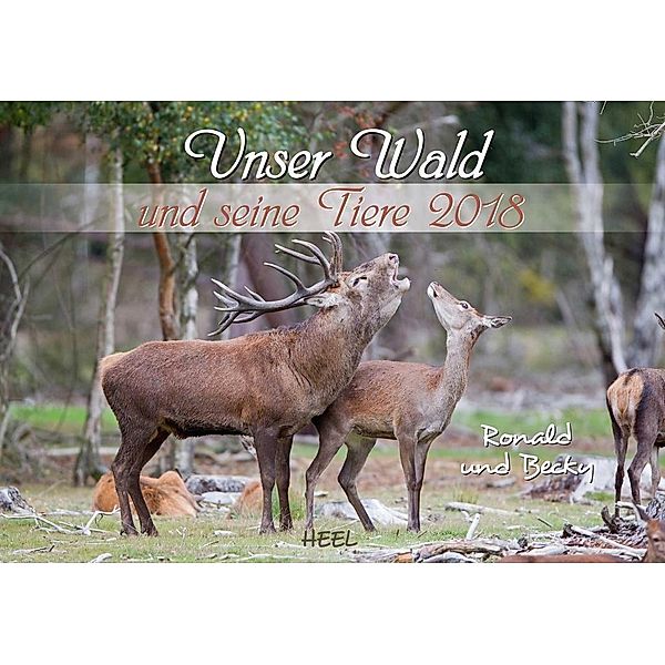 Unser Wald und seine Tiere 2018