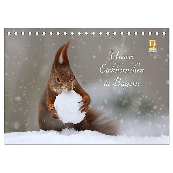 Unsere Eichhörnchen in Bayern (Tischkalender 2024 DIN A5 quer), CALVENDO Monatskalender, Birgit Cerny