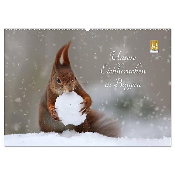 Unsere Eichhörnchen in Bayern (Wandkalender 2025 DIN A2 quer), CALVENDO Monatskalender, Calvendo, Birgit Cerny