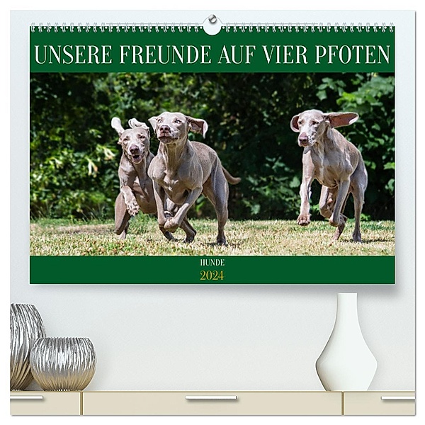 Unsere Freunde auf vier Pfoten - Hunde (hochwertiger Premium Wandkalender 2024 DIN A2 quer), Kunstdruck in Hochglanz, Calvendo, Sigrid Starick