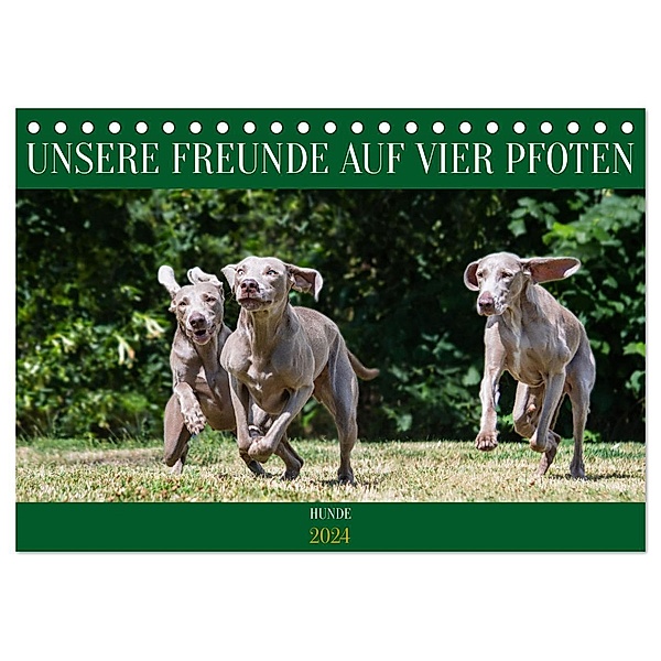 Unsere Freunde auf vier Pfoten - Hunde (Tischkalender 2024 DIN A5 quer), CALVENDO Monatskalender, Calvendo, Sigrid Starick