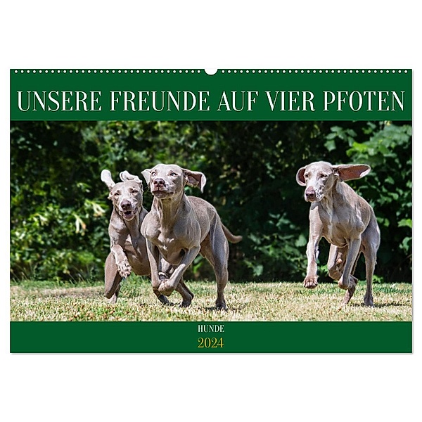 Unsere Freunde auf vier Pfoten - Hunde (Wandkalender 2024 DIN A2 quer), CALVENDO Monatskalender, Calvendo, Sigrid Starick