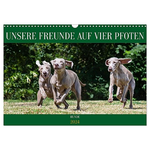 Unsere Freunde auf vier Pfoten - Hunde (Wandkalender 2024 DIN A3 quer), CALVENDO Monatskalender, Calvendo, Sigrid Starick