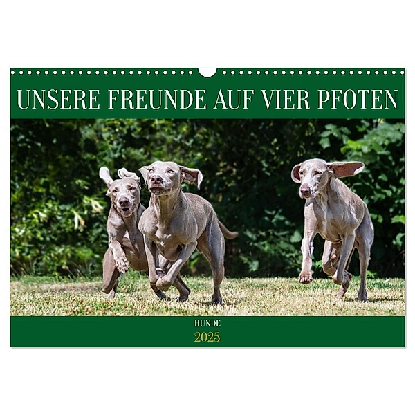 Unsere Freunde auf vier Pfoten - Hunde (Wandkalender 2025 DIN A3 quer), CALVENDO Monatskalender, Calvendo, Sigrid Starick