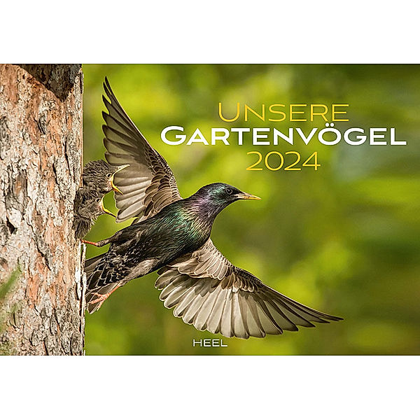 Unsere Gartenvögel Kalender 2024