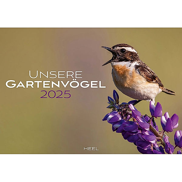 Unsere Gartenvögel Kalender 2025