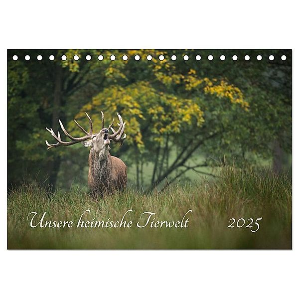 Unsere heimische Tierwelt (Tischkalender 2025 DIN A5 quer), CALVENDO Monatskalender, Calvendo, Björn Reibert