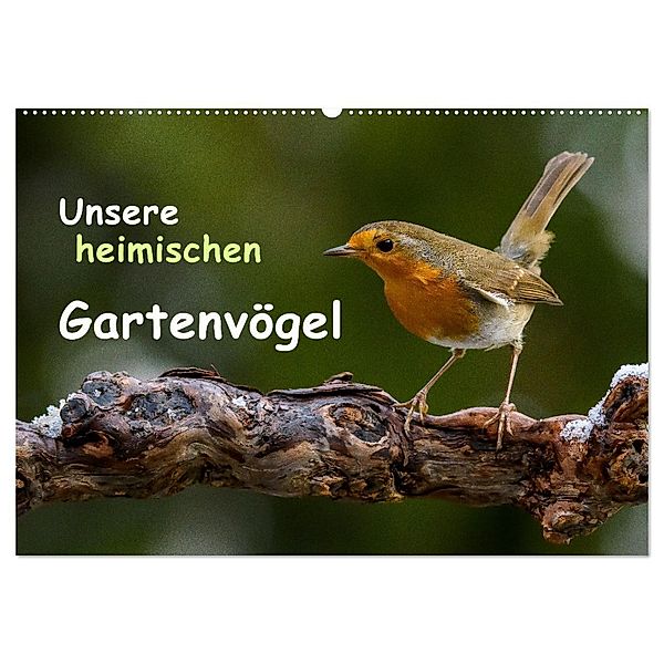 Unsere heimischen Gartenvögel (Wandkalender 2024 DIN A2 quer), CALVENDO Monatskalender, Dieter Wilczek