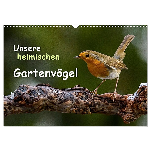 Unsere heimischen Gartenvögel (Wandkalender 2024 DIN A3 quer), CALVENDO Monatskalender, Dieter Wilczek