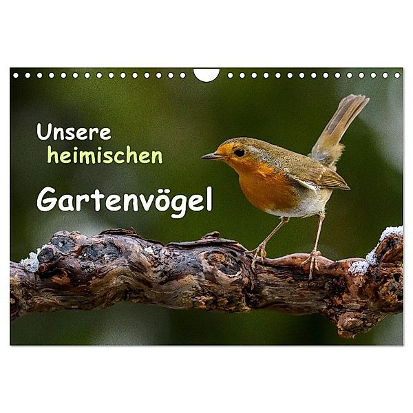 Unsere heimischen Gartenvögel (Wandkalender 2024 DIN A4 quer), CALVENDO Monatskalender, Dieter Wilczek