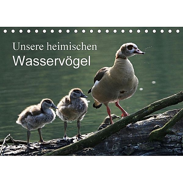 Unsere heimischen Wasservögel (Tischkalender 2018 DIN A5 quer), Klaus Fröhlich