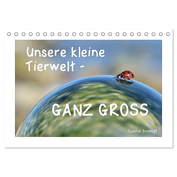 Unsere kleine Tierwelt - GANZ GROSS (Tischkalender 2024 DIN A5 quer), CALVENDO Monatskalender, Sabine Schmidt