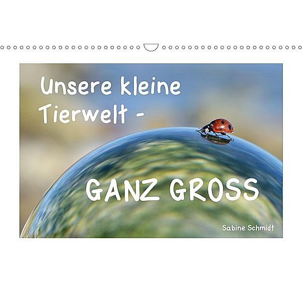 Unsere kleine Tierwelt - GANZ GROSS (Wandkalender 2021 DIN A3 quer), Sabine Schmidt