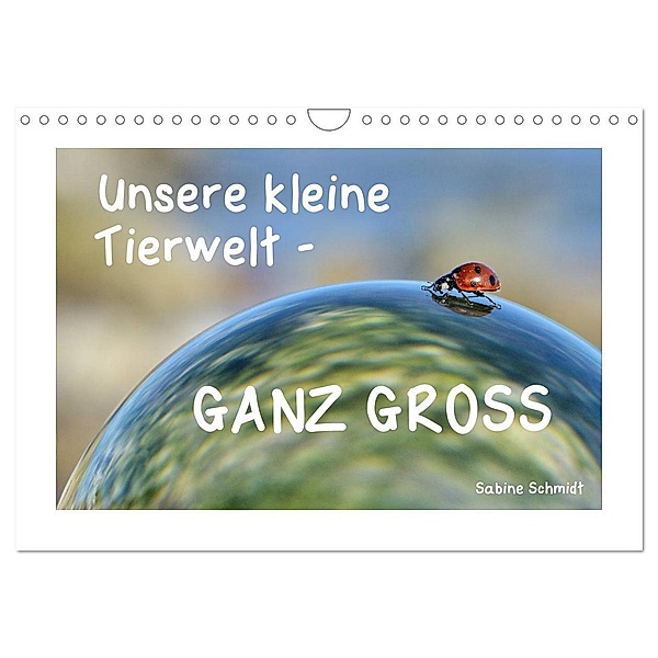 Unsere kleine Tierwelt - GANZ GROSS (Wandkalender 2024 DIN A4 quer), CALVENDO Monatskalender, Sabine Schmidt