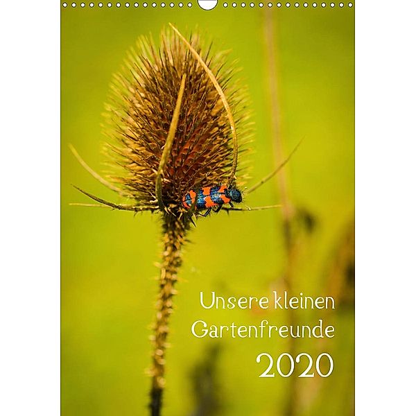 Unsere kleinen Gartenfreunde (Wandkalender 2020 DIN A3 hoch)