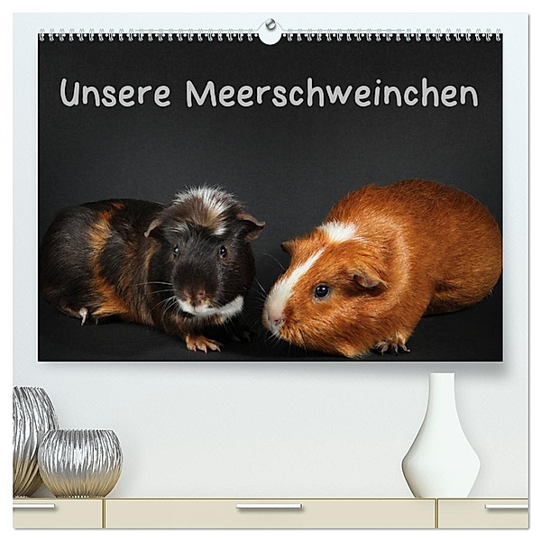 Unsere Meerschweinchen (hochwertiger Premium Wandkalender 2025 DIN A2 quer), Kunstdruck in Hochglanz, Calvendo, Hermann Klecker