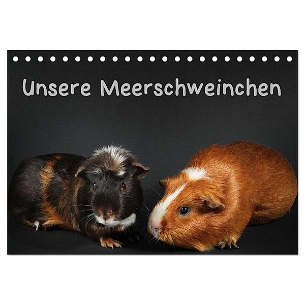 Unsere Meerschweinchen (Tischkalender 2025 DIN A5 quer), CALVENDO Monatskalender, Calvendo, Hermann Klecker