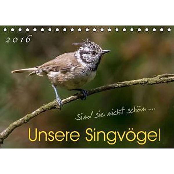 Unsere Singvögel (Tischkalender 2016 DIN A5 quer), Carl-Peter Herbolzheimer