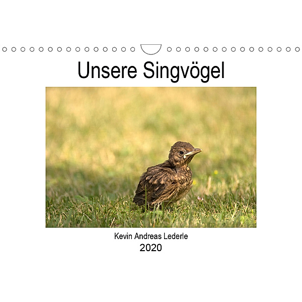 Unsere Singvögel (Wandkalender 2020 DIN A4 quer), Kevin Andreas Lederle