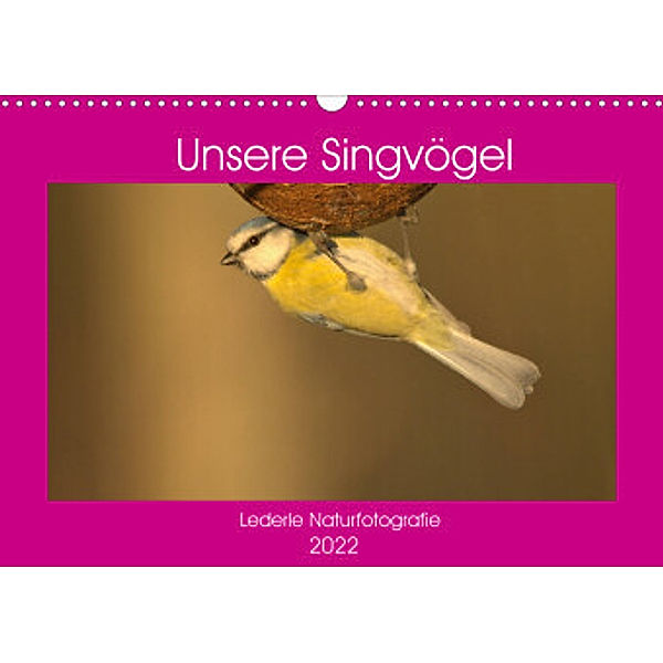 Unsere Singvögel (Wandkalender 2022 DIN A3 quer), Kevin Andreas Lederle