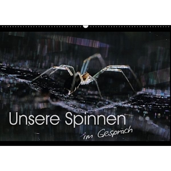 Unsere Spinnen - im Gespräch (Wandkalender 2016 DIN A2 quer), Carl-Peter Herbolzheimer