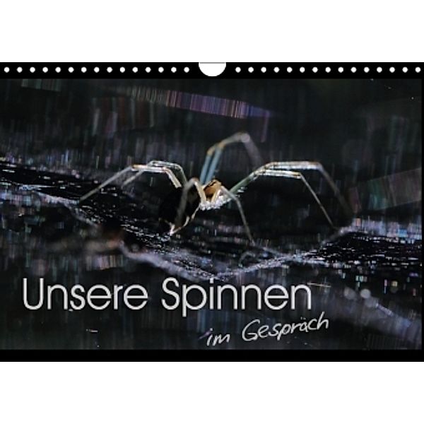 Unsere Spinnen - im Gespräch (Wandkalender 2016 DIN A4 quer), Carl-Peter Herbolzheimer