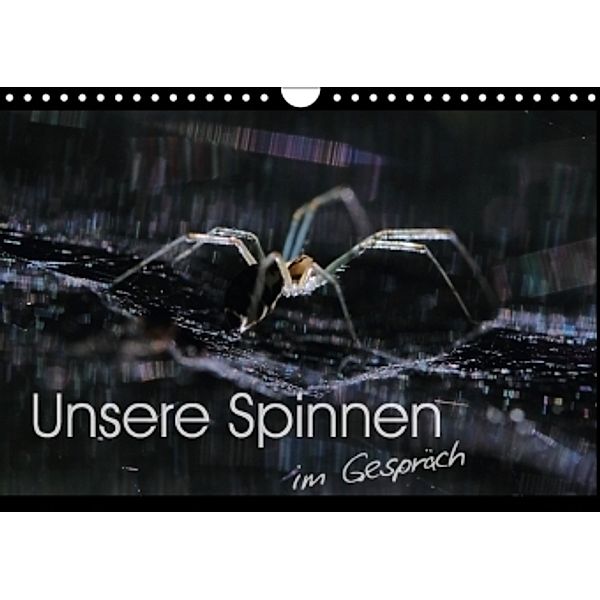 Unsere Spinnen - im Gespräch (Wandkalender 2017 DIN A4 quer), Carl-Peter Herbolzheimer