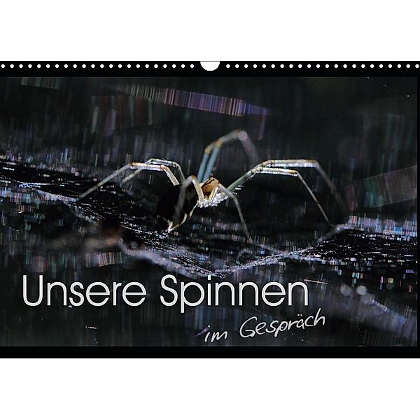 Unsere Spinnen - im Gespräch (Wandkalender 2021 DIN A3 quer), Carl-Peter Herbolzheimer