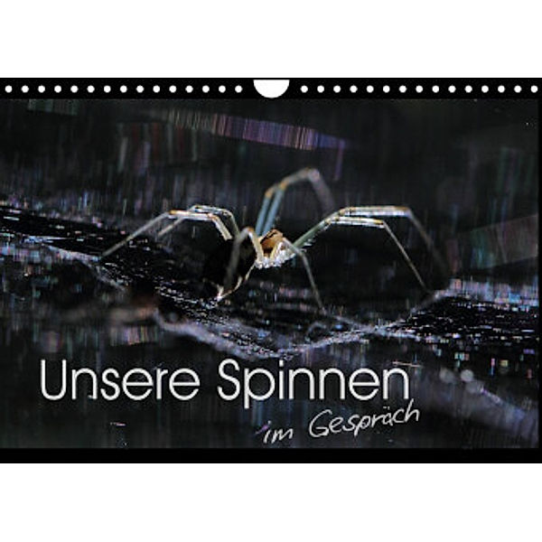 Unsere Spinnen - im Gespräch (Wandkalender 2022 DIN A4 quer), Carl-Peter Herbolzheimer